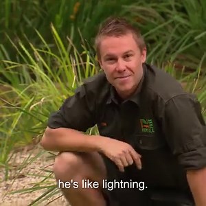 557K views · 4.8K reactions | Want to learn how Crocodiles attack?  Tim Faulkner uses himself as human bait to show you  | Untamed | Facebook