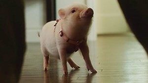 Arlo: The Burping Pig - Apple TV