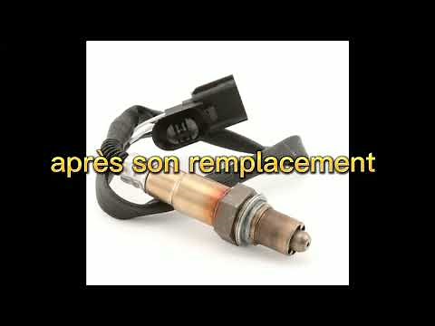 How to reset the lambda sensor after replacing it using VCDS | Croque Maïs Racing Tutorial