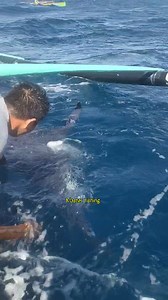 1.4M views · 10K reactions | Big Blue Marlin mga master | Master Fishing | Facebook