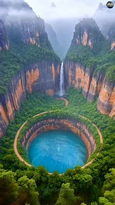 1.3M views · 50K reactions | Congo jungle / rainforest #shorts #congo #congoforest #rainforest #dangerous #jungle #science #facts #tredingreels #mostdangerous #Danger #jungle #science #reels #viral #rain | Universefactsai | Facebook