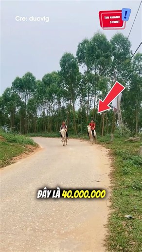 Students bring a whopping 40 million VND to school? 💀 #shorts