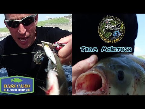 Carlyle Lake Spillway | Epic Fishing Trip