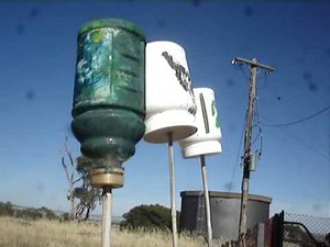 Wind organs and aeolian harp (and kids)