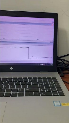 RT-PCR Rotor Gene Q | Qiagen