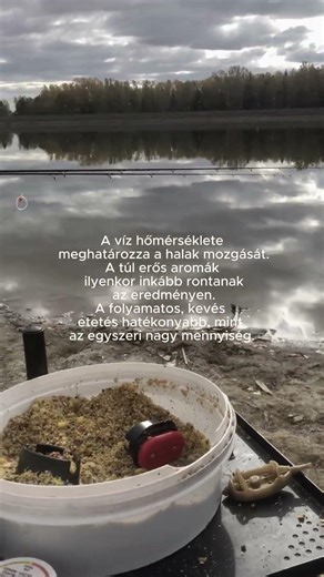Tippek kezdőként 🎣💡🐟#kezdőhorgász #horgászat #peca #tippek #tanulás #elsőlépések #tópart