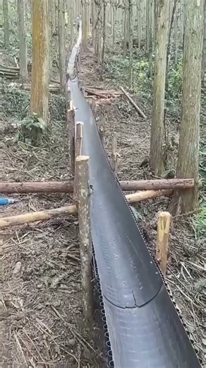 Fast Timber Transport Using Gravity Chutes