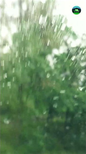 Jhika Gali To New Murree In Rainy Weather 42 #youtubeshorts #shorts #shortsvideo #murree