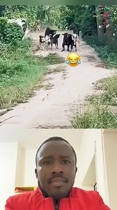 7.5M views · 10K reactions | Using your number 6 | Engul Ema | Facebook