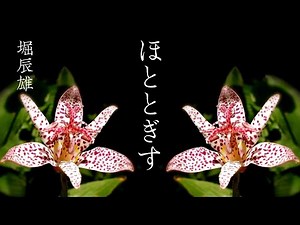 朗読 堀辰雄『ほととぎす』