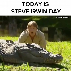 179K views · 2.6K shares | Happy Steve Irwin Day ❤️ | BuzzFeed Animals | Facebook