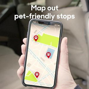 Moving with pets can be ruff. 🐶 Make the experience calmer for your fur-babies with these tricks. 👇 | PODS Moving & Storage