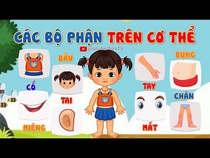 Dạy bé học các bộ phận cơ thể | Dạy bé chỉ mắt mũi miệng tay chân | SỨA TV