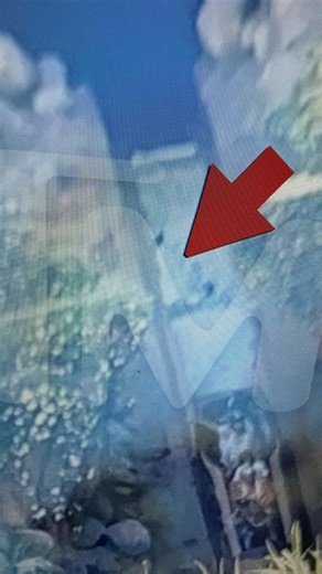 TMZ releases footage of guest falling down Tiana's Bayou Adventure at Disneyland