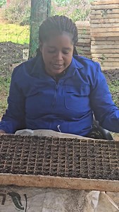 43K views · 859 reactions | Wednesday Afternoon (FIELD-TIVITIES 來)...