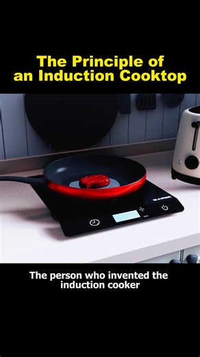 How Induction Cookers Work: A Detailed Explanation