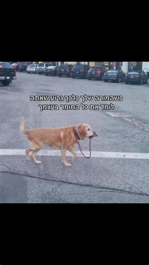 המורה שלך כל כך גרוע? גלה את הפתרונות