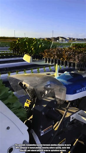 Best Innovation Automatic Vegetable Transplanting Machine: Best Precision Seedling Planting