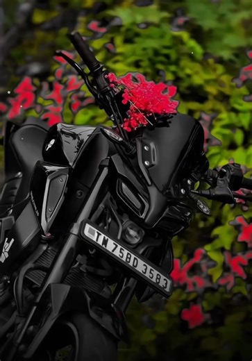 Exploring the Yamaha MT15 Motorbike