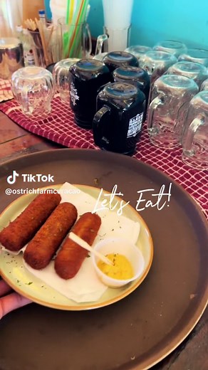 🌟 Visit Ostrich Farm Curaçao! 🐔🐐 Don’t miss Zambezi Restaurant’s highlights: ostrich croquettes and strawberry smoothie! 🍓🥤 Enjoy diverse vibes, refreshing drinks, good music, and so much more! Come see the unique farm life and tasty treats. There’s always something exciting happening here! #OstricFarmCuracao #ZambeziRestaurant #FarmVibes #OstrichDelights #Curacaoactivities #Curacaofarm #curacaotodo