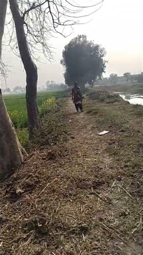 #😃🥰💕💕💕❤❤sort videyo