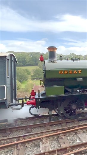 GWR 813 buffers up to a goods train at Highley, SVR