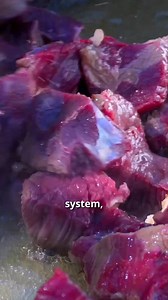 Tender red meat cooked over open flames, infusing it with rich flavors and tradition. A culinary journey in nature. #OutdoorCooking #GrilledMeat #TraditionalFlavors #Cooking | Fire Up, Bro