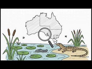 What's Hiding in a Tick's Bite