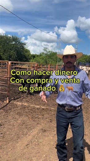 Rodo Arcadia on Instagram: "Hay muchos detalles que no dije, si te interesa saber más de este negocio házmelo saber en los comentarios para parte 2 🤠💰🐂"