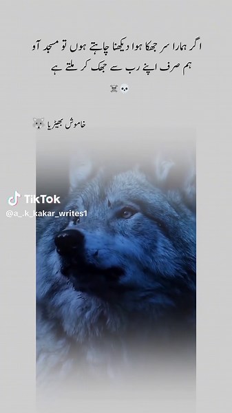 Unlock Your Wolf Cut: A Complete Guide