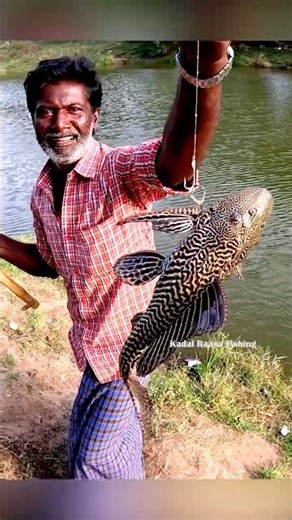 Tank Cleaner Fish Great Fight | Backwater Fishing with Bamboo Stick Rod & Rice Powder Bait #fishing