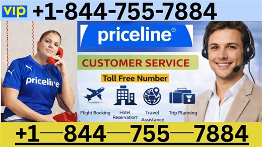 How to Contact Priceline™ Customer Service Fast | A Complete Guide Step by Step