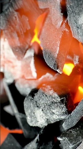¿Cómo es el Ciclo del Carbono? | Divulgación de Ciencias #biología #quimica #fotosíntesis #proceso