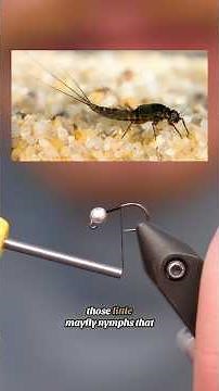 You NEED This Nymph in Your Fly Box! | Most Productive Nymph