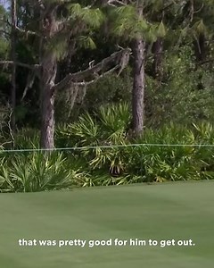 13K views · 138 reactions | Nobody is safe in Darren Clarke's pro-am group  Team Europe's captain and ESPN's Michael Collins break down some amatuer swings at the World Champions Cup. | PGA TOUR Champions | Facebook