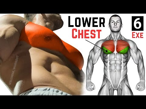 Lower Chest Workout | Best Exercises to Build Lower Pecs
