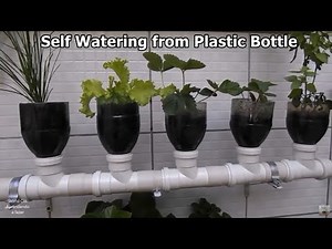 How to Make Vertical Garden Self Watering from Plastic Bottle and Tube PVC pipe 2
