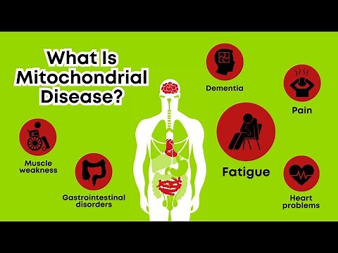 My Mito Mission - What Is Mitochondrial Disease?