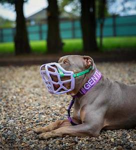 30K views · 2.7K reactions | One Whole Year Under The Ban 凉 Through...