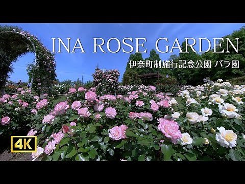 【 ４K 】 INA ROSE GARDEN / 伊奈町制施行記念公園・バラ園 / バラまつり 2022
