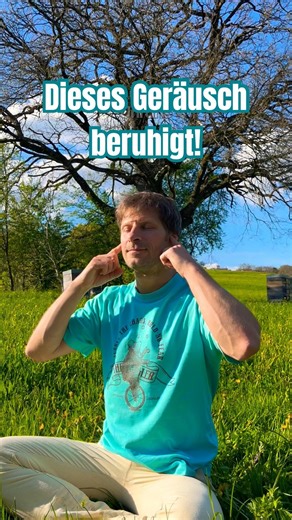 Dieses Geräusch beruhigt dein Nervensystem #breathwork #atemtechnik