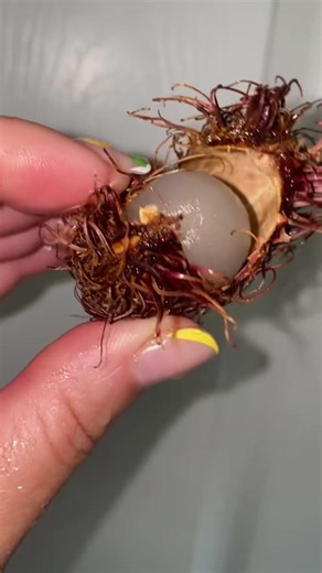 What do you call these? Do you eat them or no? #fruit #fruits #delicious #whatisthis #HMM