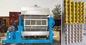 Egg Tray Making Machine in Pakistan | Factory Price