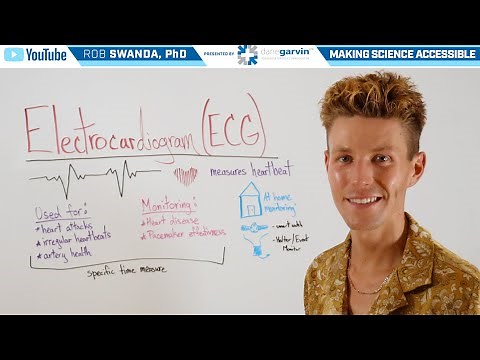 Overview of an Electrocardiogram (ECG or EKG)