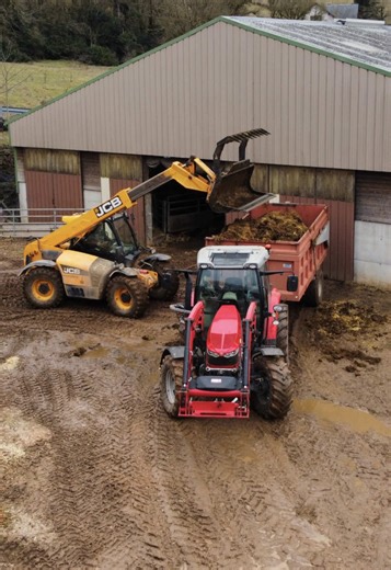 Curage: Discover the Charm of Aubrac Cattle in Agriculture