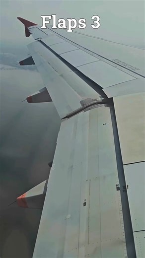 From Flaps 2 to FULL—Jetstar A320ceo configuring for landing at NGO. Every step closer to touchdown is pure avgeek joy! #aviationlovers #avgeek #planespotting #A320 #Jetstar #approach #NGO #airbus #aviationdaily #aviationworld #flapsfull #instaaviation #cockpitview #airplaneaddict | Aviation Gallery