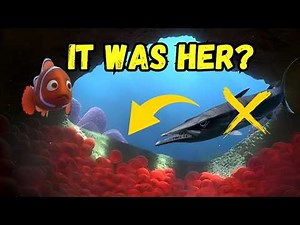 Coral, Marlin's Wife In Finding Nemo Is Still Alive