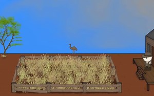 澳大利亚 鸸鹋战争 Emu War - OverSimplified -Mini-Wars