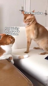 21K views · 87 reactions | Real Talk. In the fire service, we...