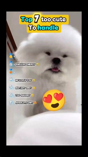 Top 7 Puppies That Made My Day 🥹🐶 #shorts #funny #animals #puppy #cute